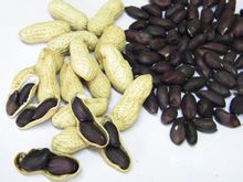 Selenium-enriched Black Peanut (30yuan/pack, 1jin)